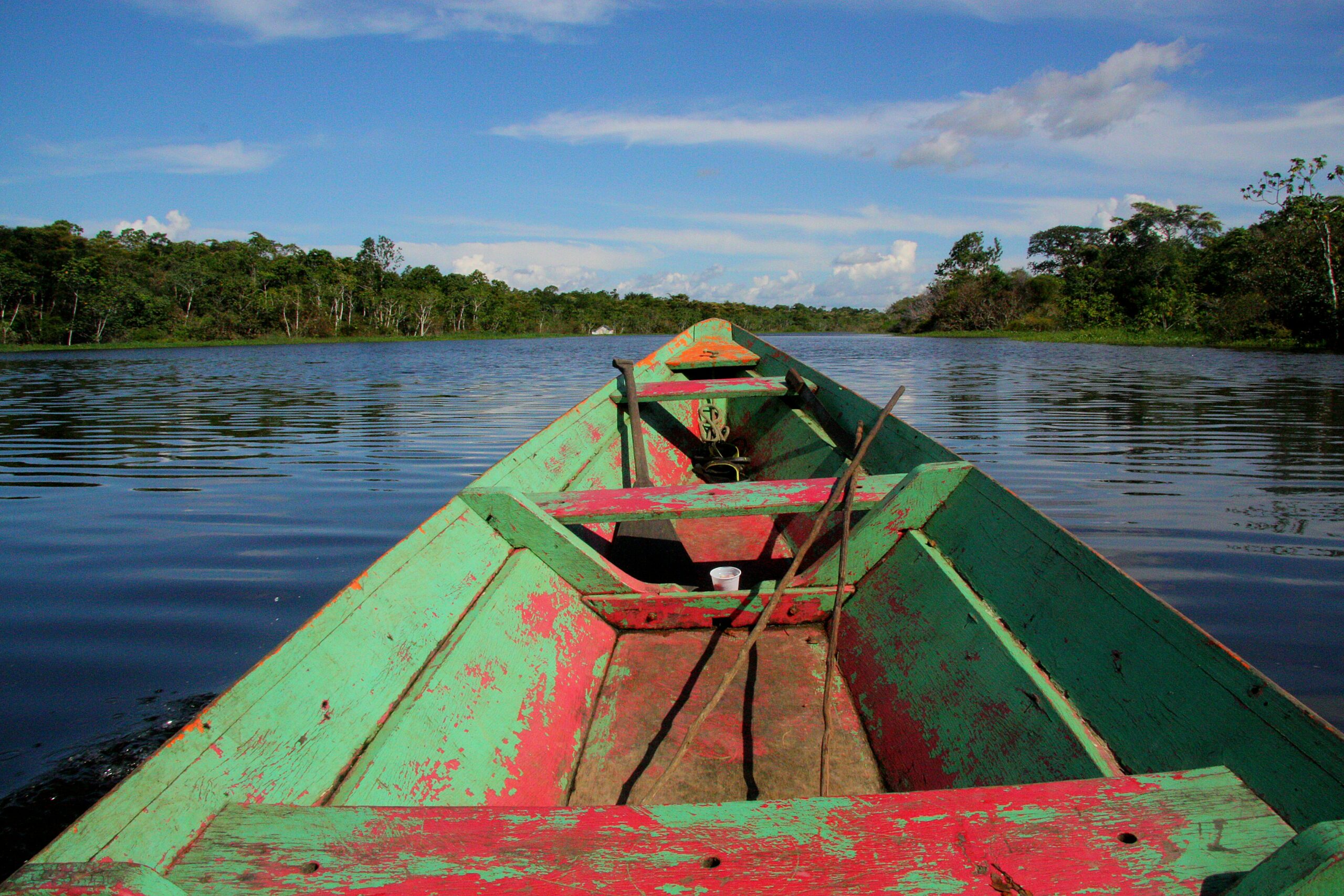 Amazon vs Pantanal Safari: How to Choose Your Luxury Wildlife Journey Amazon rainforest river at dawn — immersive luxury lodge experience in the Brazilian jungle