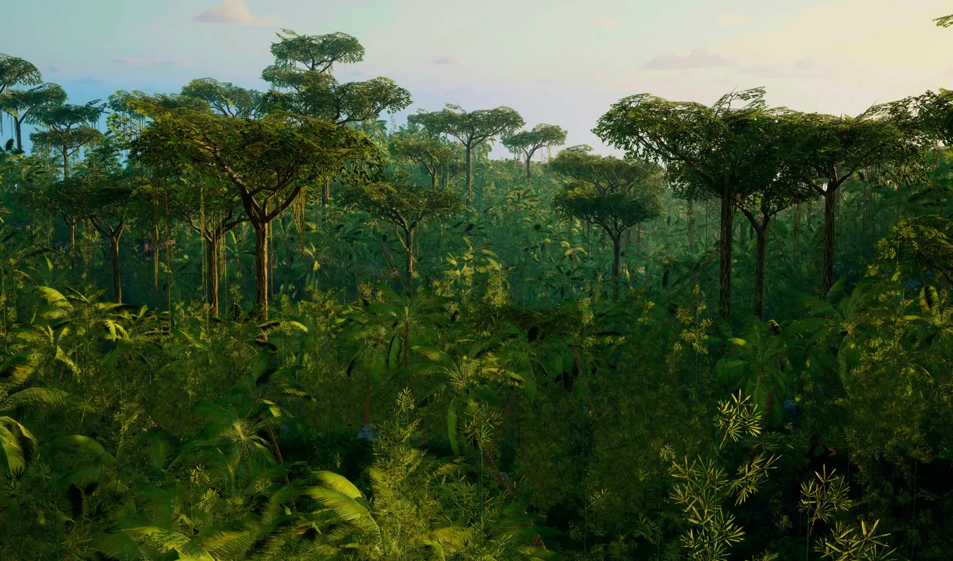 amazonia forest in brazil