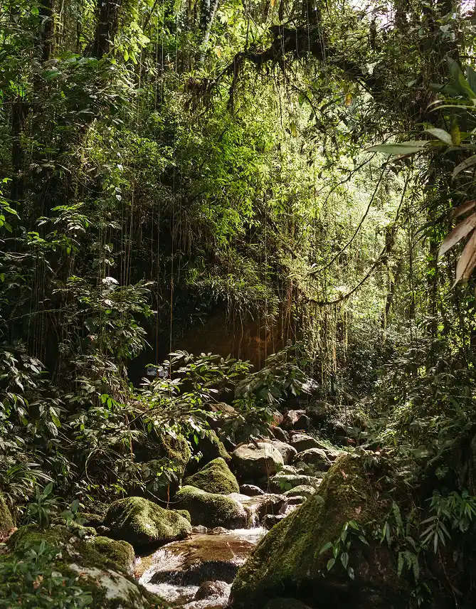 Travel styles to live Brazil your way | Bazil on Foot