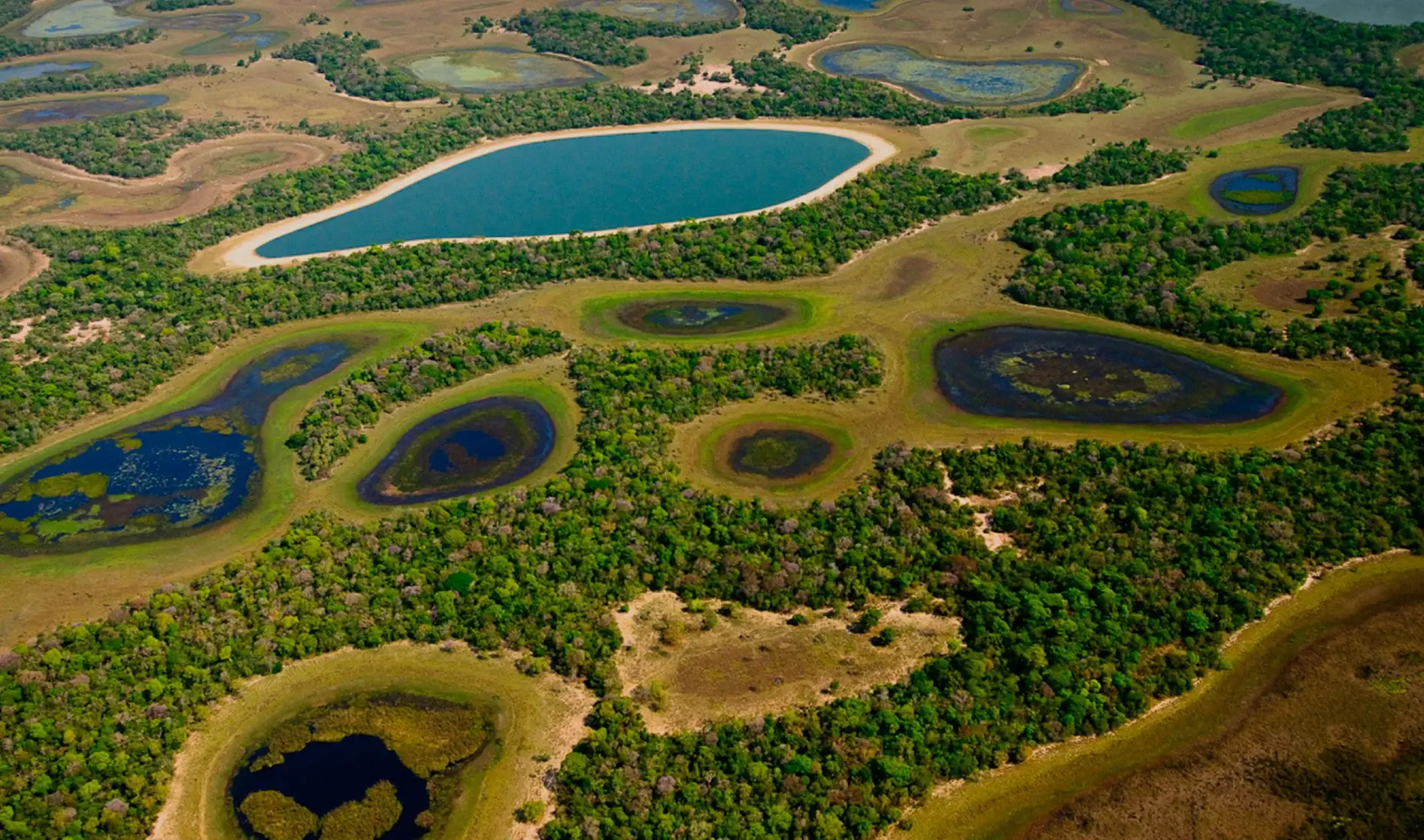 nature of pantanal in brazil