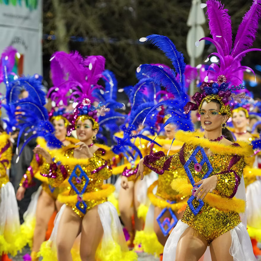 Beyond the Crowds: 7 Exclusive Experiences in Rio de Janeiro Carnival parade in Rio de Janeiro during the Brazilian summer — the festive season to visit Brazil