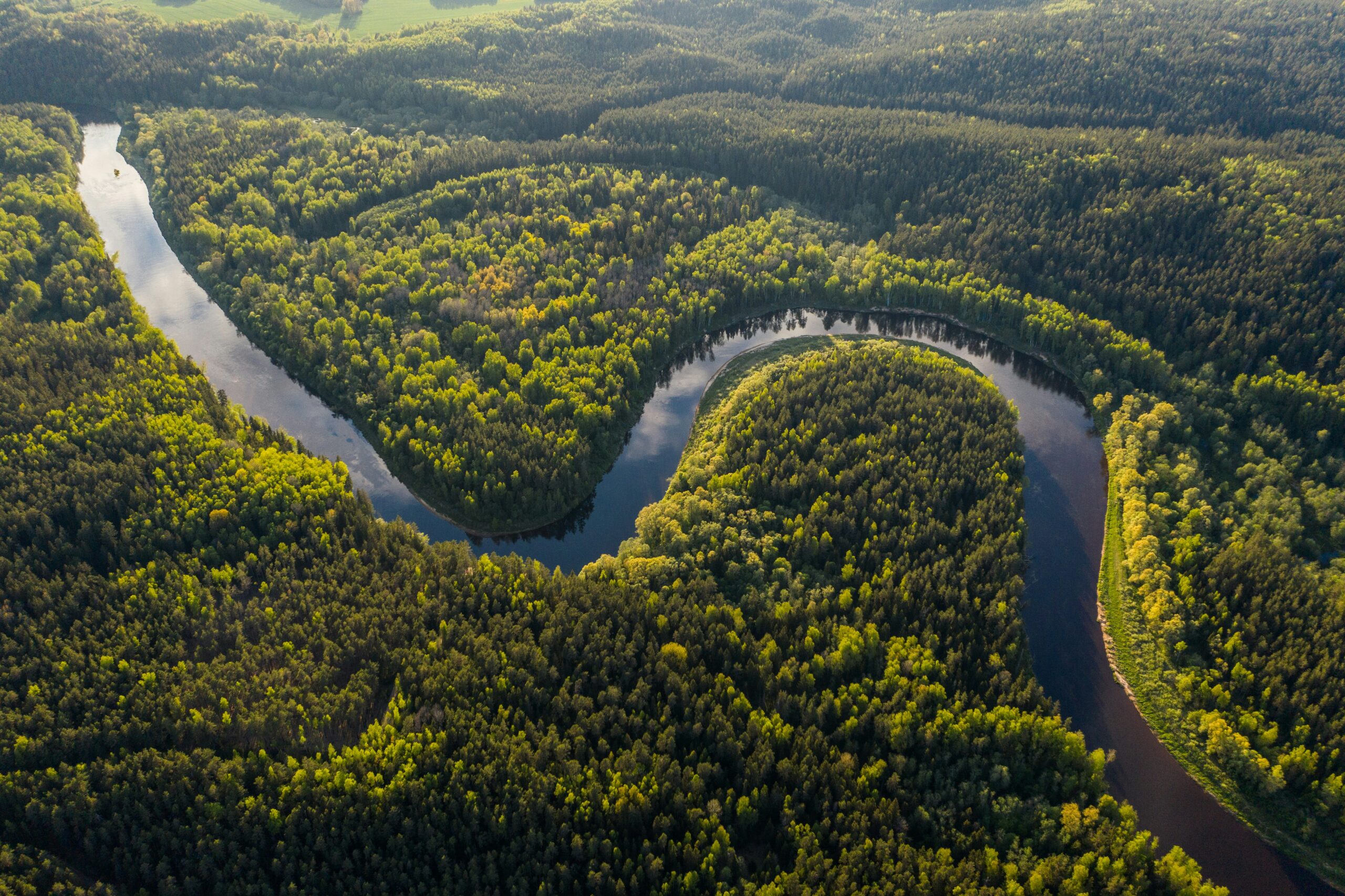 The Best Time to Visit Brazil: A Month-by-Month Guide Aerial view of the Amazon river and rainforest in spring — a warm season to visit Brazil