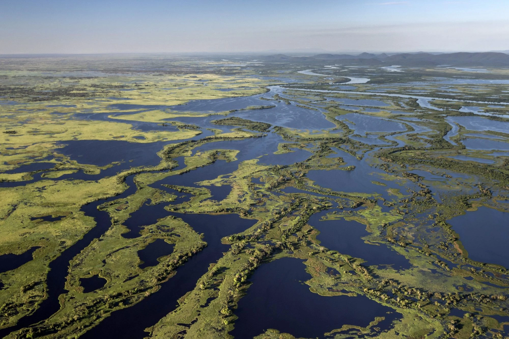 Amazon vs Pantanal Safari: How to Choose Your Luxury Wildlife Journey Pantanal wildlife safari